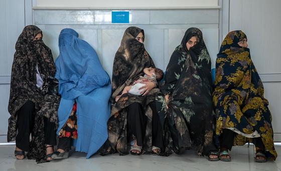 World News in Brief: Mass floggings in Afghanistan, refugee resettlement crisis, ‘greening education’